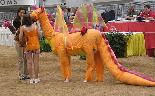 This decked-out llama stole the show, and not just because it was the only competitor in its class. PHOTO: Leigh Hedger.